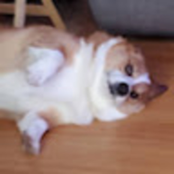 Meet your Posher, Ben - Picture 1 of 1